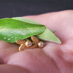Olive Leaf Diamond Earstuds