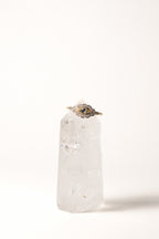 Scalloped Eye Ring · Diamond & Sapphire